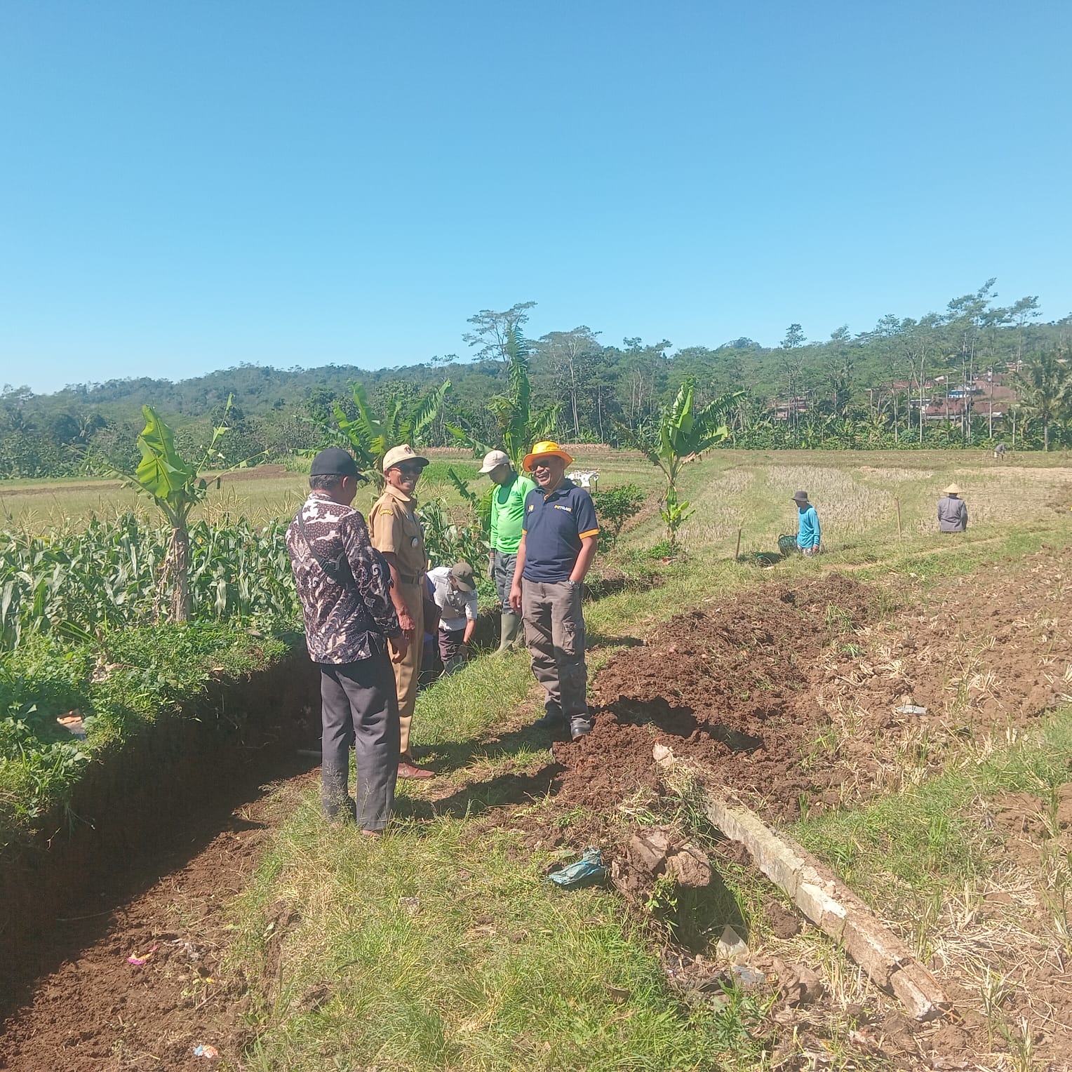 Gambar Berita